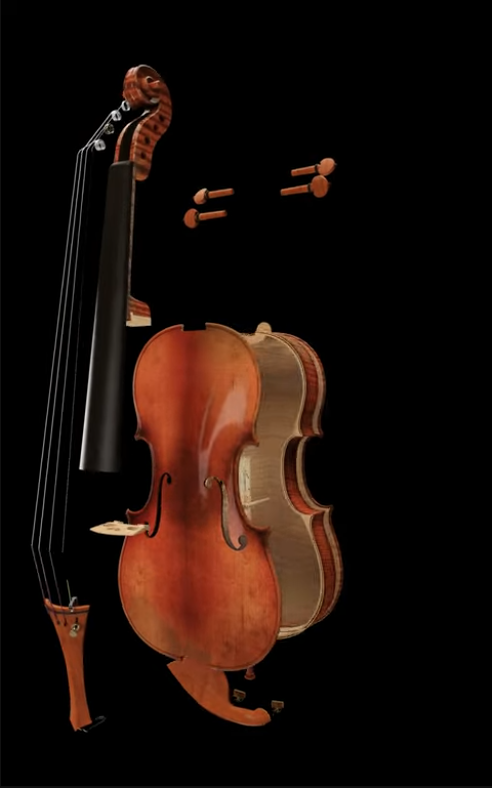 Violino Esploso