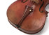 Cordiera Viola Pao Santos Snake
