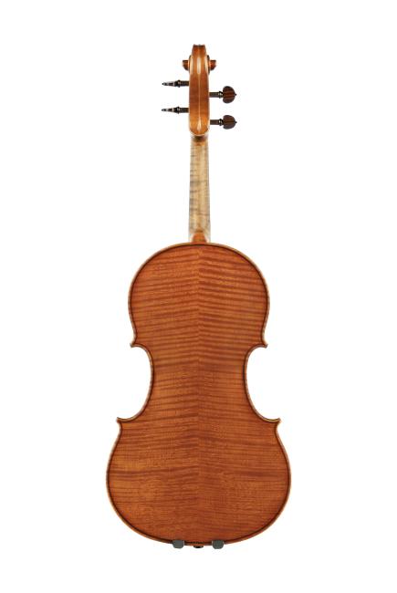 Viola 41 Fondo